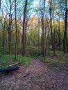 Trail through loess gorges in wodny dol national park