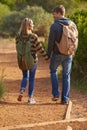 On the trail of love. Rear view shot of a young couple holding hands and walking down a hiking trail. Royalty Free Stock Photo