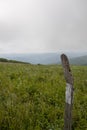 Trail Marker on Appalachian Trail