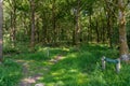 Trail marker and hiking trail leqding into the dense forest of the Skrylle Nature Preserve in southern Sweden Royalty Free Stock Photo