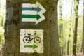Trail marking on tree. Hike and bicycle trails
