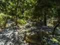 The trail meets a wooded area of the Imbros Gorge near Chania, Crete on a bright sunny day Royalty Free Stock Photo