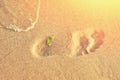 The trail from the men`s feet on the sand near the sea Royalty Free Stock Photo