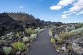 Trail of Molten Lands winds through volcanic rock. Lava Butte in background at Newberry National Volcanic Monument near Bend,