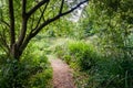 Trails in Morden Hall Park