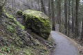 Trail on mountain with a lot of moss