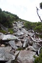 Trail in mountains