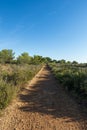 Trail through the mountains of Irta de Alcocebre Royalty Free Stock Photo