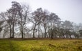 Trail through a mysterious dark old forest in fog. Autumn morning Royalty Free Stock Photo