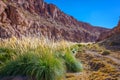 Trail near Puritama river, Atacama desert, Chile Royalty Free Stock Photo