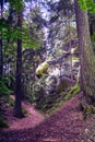 Trail through an old forest with large spruce trees next to a gigantic boulder made of sandstone in the KrkonoÃÂ¡e Mountains in the Royalty Free Stock Photo