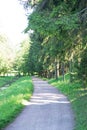 A trail in the park. A forest with trees and green leaves. Beautiful nature in summer. Royalty Free Stock Photo