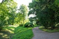 A trail in the park. A forest with trees and green leaves. Beautiful nature in summer. Royalty Free Stock Photo