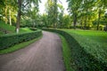 A trail in the park. A forest with trees and green leaves. Beautiful nature in summer. Royalty Free Stock Photo