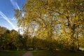 Trail in Hyde park in London on an autumn afternoon