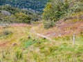 Trail Paseo de la isla and upland or Magellan geese in Tierra de