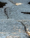 Trail Passes Through Dirty Snow Field In Summer