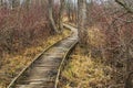 A trail passes over a wooden boardwalk in the woods