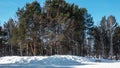 The trail passes through the winter park.