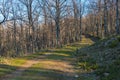 trail path with hazels and oaks near Fuente del Corcho