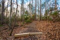 Trail path in Raven Rock State Park, North Carolina, United State.