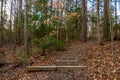 Trail path in Raven Rock State Park, North Carolina, United State.