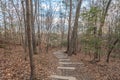 Trail path in Raven Rock State Park, North Carolina, United State.