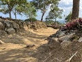 Trail path with shoe prints, roots and steep stone Royalty Free Stock Photo