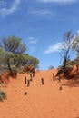 Trail in red sand dunes in the Red Centre, Australia Royalty Free Stock Photo