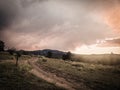 Trail ride in the south Royalty Free Stock Photo