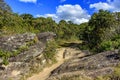 Trail through the rocks and vegetation used for expeditions in the hills