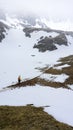 Runner at a mountain race climbing on Hornurile Malaiestilor