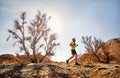 Trail running adventure Royalty Free Stock Photo