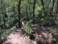 Trail running in the forest around Beerze