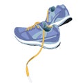 Trail Running Shoe Vector