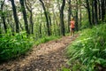 Trail running woman in green forest. Endurance sport. Royalty Free Stock Photo