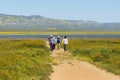 The trail that runs by the shore to view the lake and admire the flora and fauna during wildflower bloom at Carrizo Plain, central