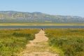 The trail that runs by the shore to view the lake and admire the flora and fauna during wildflower bloom at Carrizo Plain, central