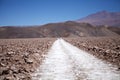 Trail through the Salar of Antofalla at the Puna de Atacama, Argentina Royalty Free Stock Photo