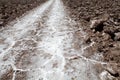 Trail through the Salar of Antofalla at the Puna de Atacama, Argentina Royalty Free Stock Photo