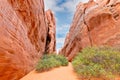 Trail between sandstone formation to the Sand Dune Arch, Arches National Park Utah Royalty Free Stock Photo