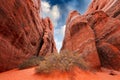 Trail between sandstone formation to the Sand Dune Arch, Arches National Park Utah Royalty Free Stock Photo