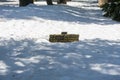 Trail sign almost buried in snow, Mount San Jacinto State Park, California