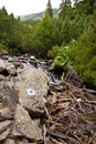 Trail sign on rough terrain Royalty Free Stock Photo