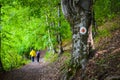 Trail signs