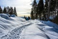 trail in the snow one