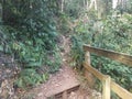 Trail With Step And Railing In The Guajataca Forest In Puerto Rico