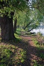 Trail stretching along the shore of the lake. Early Sunny spring morning.