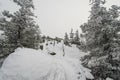 A trail stretching into the distance through a fabulous snow covered forest