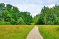 Trail in the summer the park Royalty Free Stock Photo